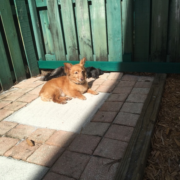 Hi Friend :) - Picture 2 of 2